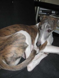 She's cute even when she's sick and whiny.