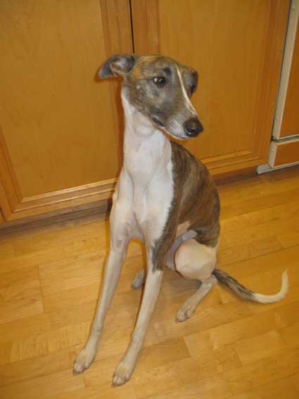 An oldie but goodie. 